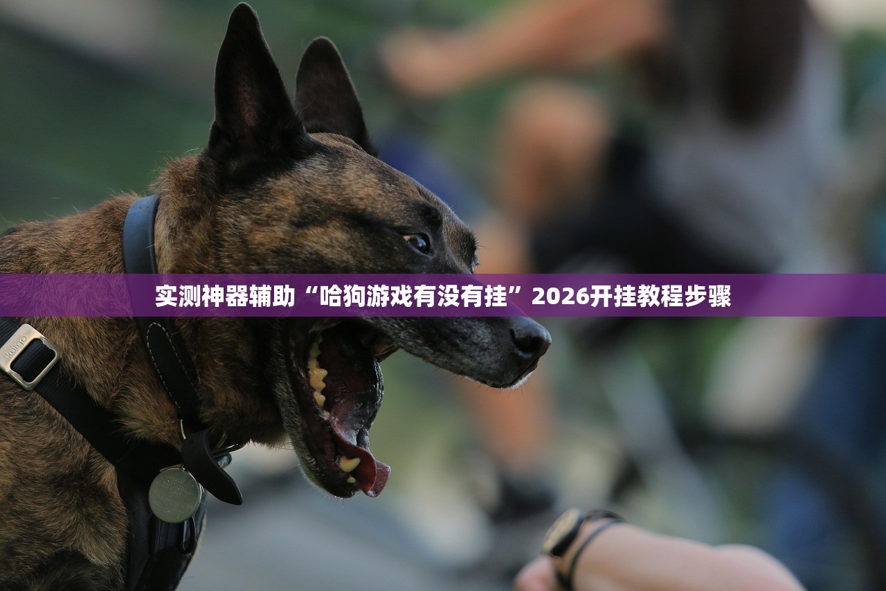 一键必胜“微乐广西麻将有挂吗”科技辅助神器手机版