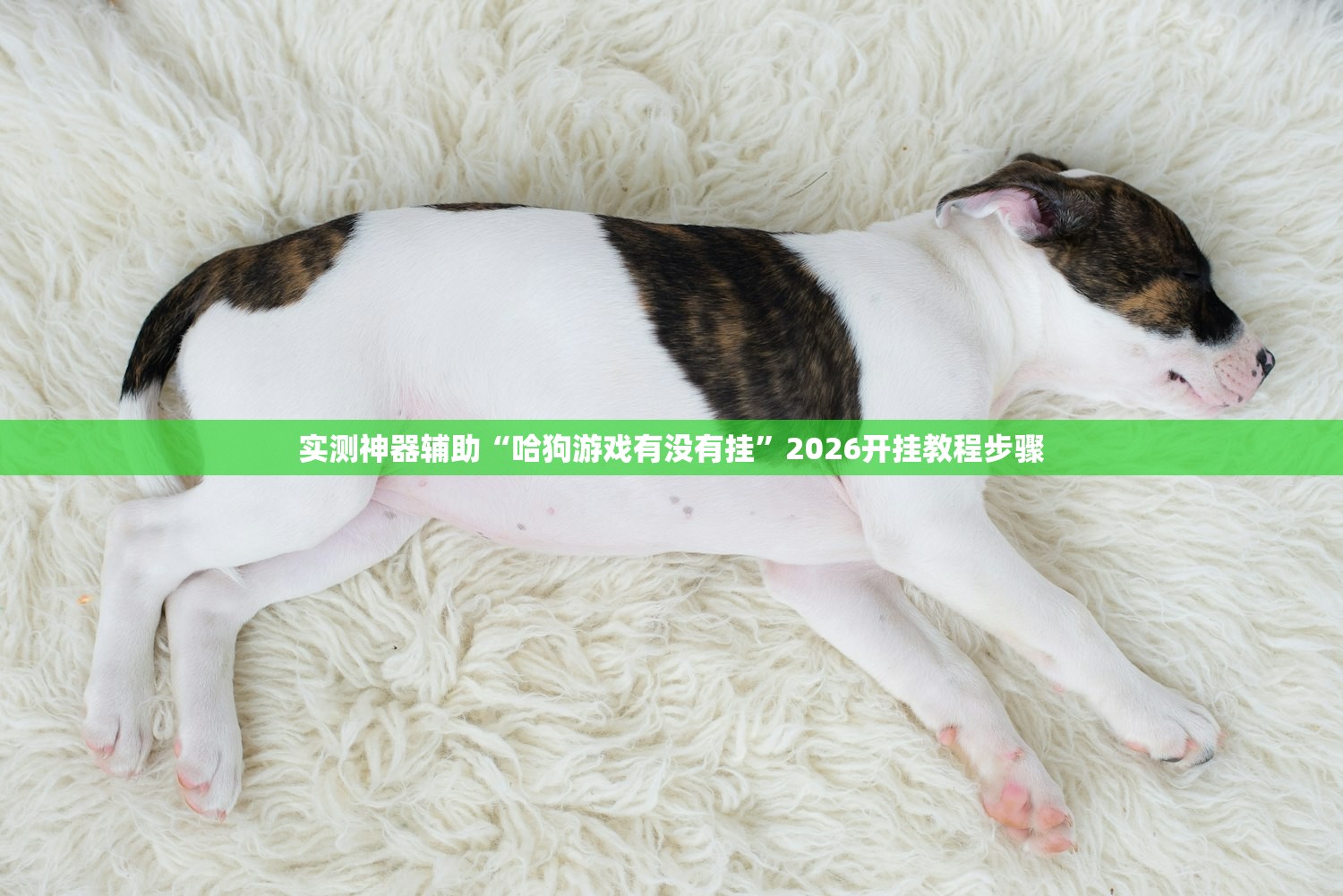 实测神器辅助“哈狗游戏有没有挂”2026开挂教程步骤