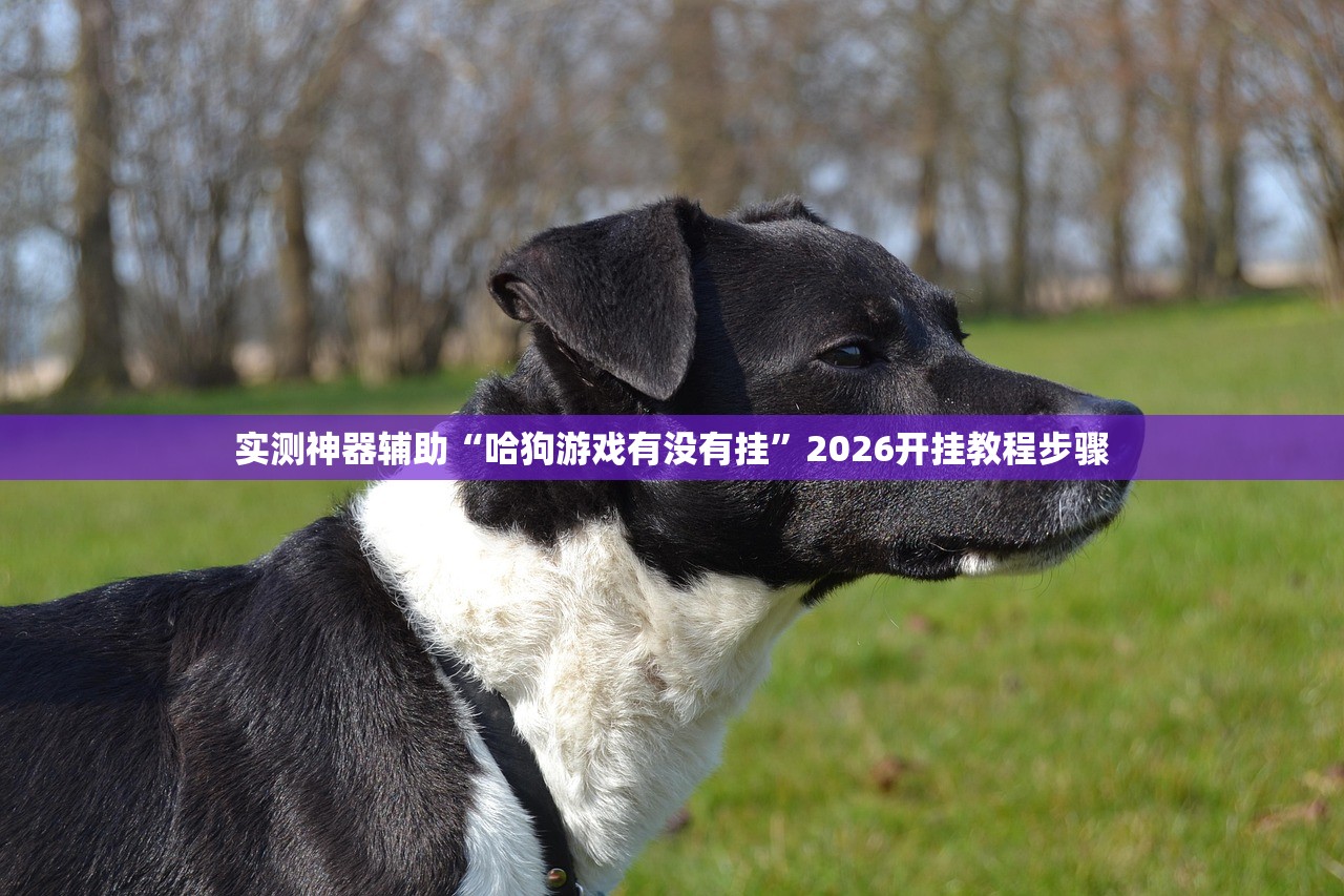 实测神器辅助“哈狗游戏有没有挂”2026开挂教程步骤
