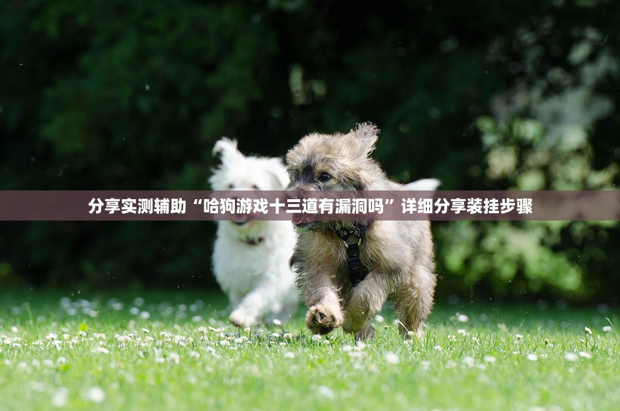 一键必胜“手机拼三张是不是有挂”其实确实有挂