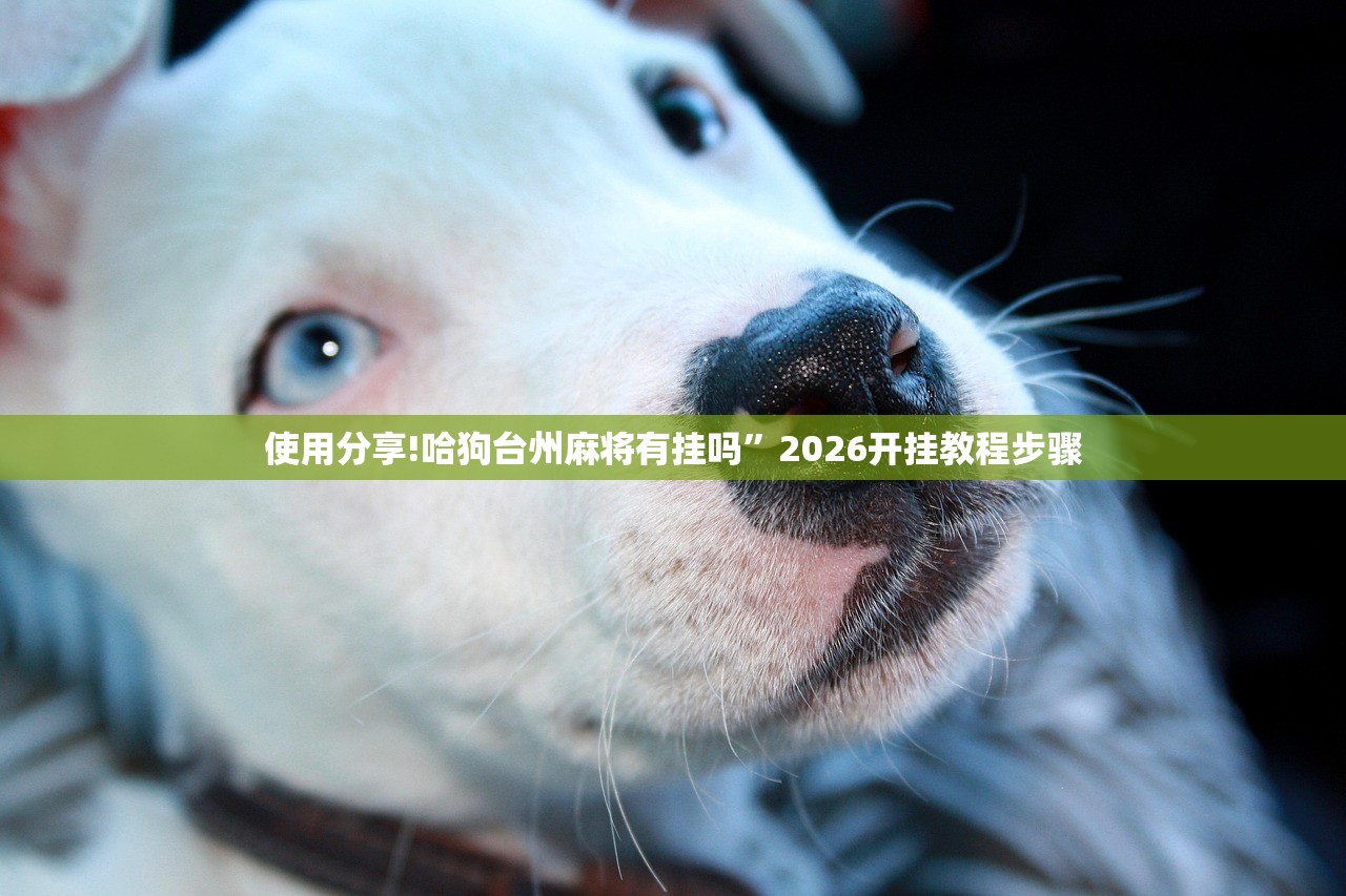 玩家辅助神器：菠萝德州辅助神器”开挂详细教程