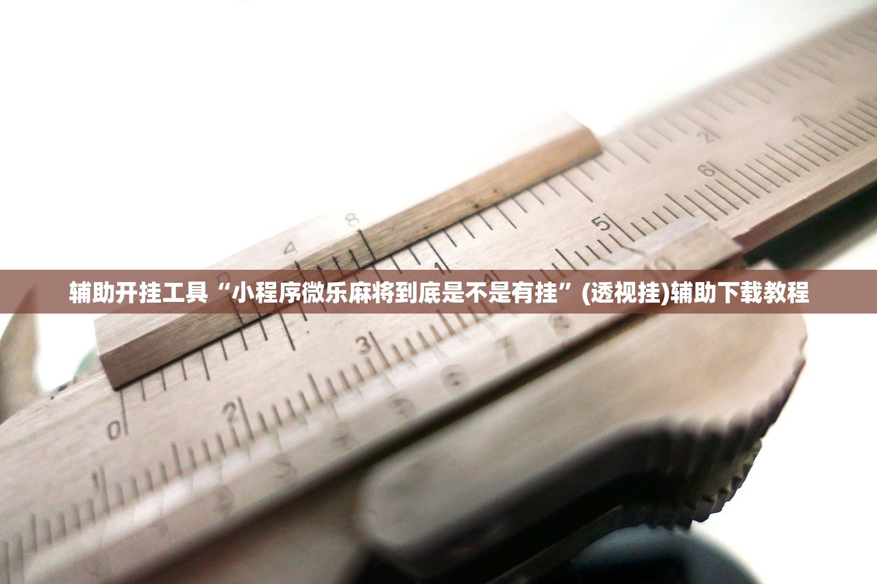辅助开挂工具“小程序微乐麻将到底是不是有挂”(透视挂)辅助下载教程