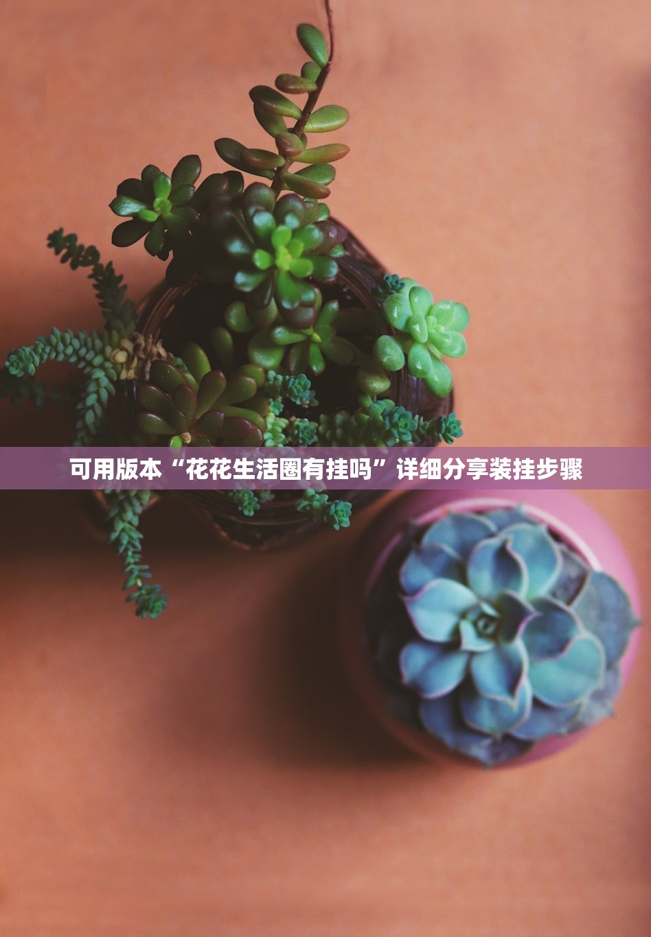可用版本“花花生活圈有挂吗”详细分享装挂步骤