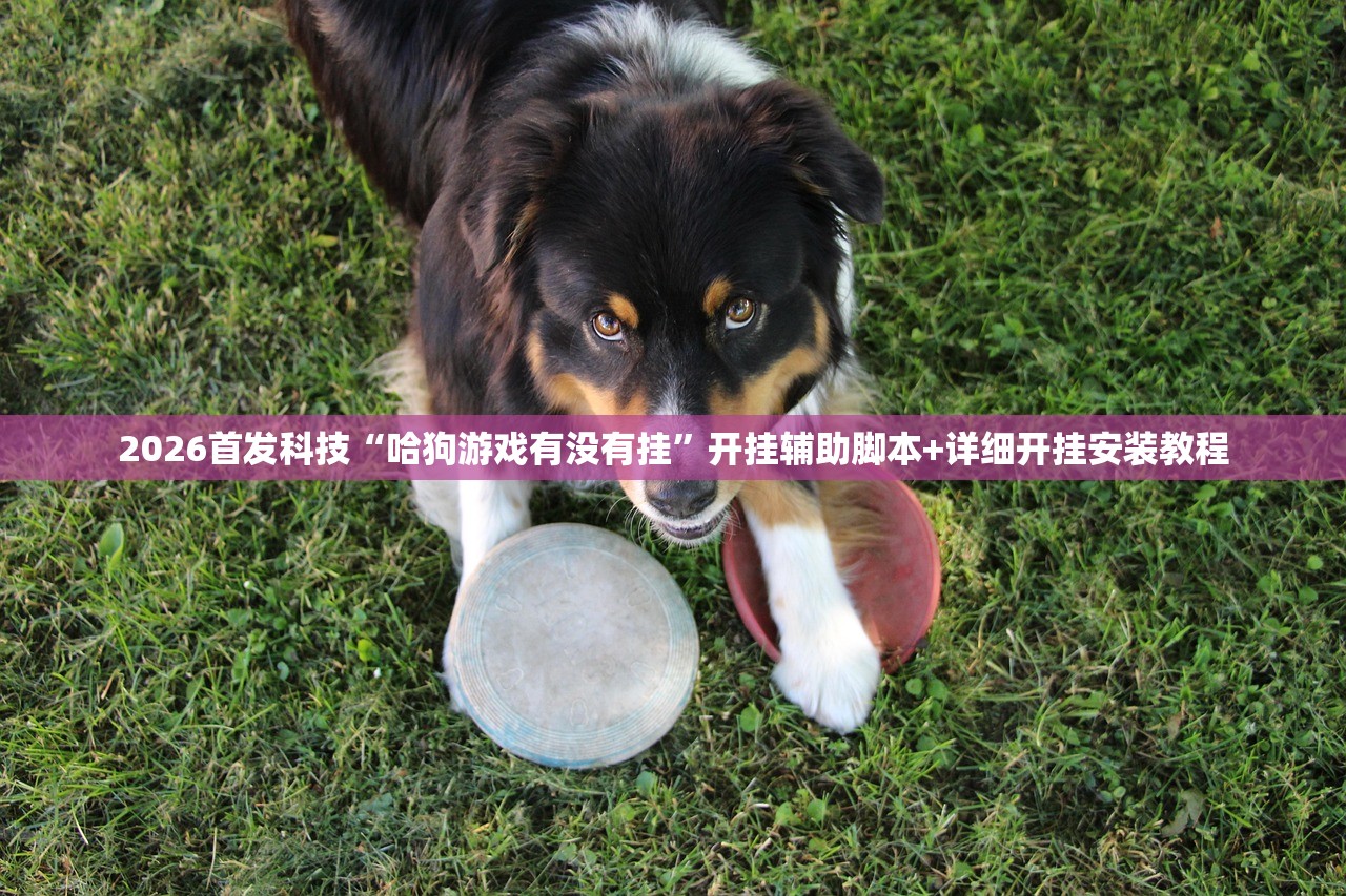 2026首发科技“哈狗游戏有没有挂”开挂辅助脚本+详细开挂安装教程