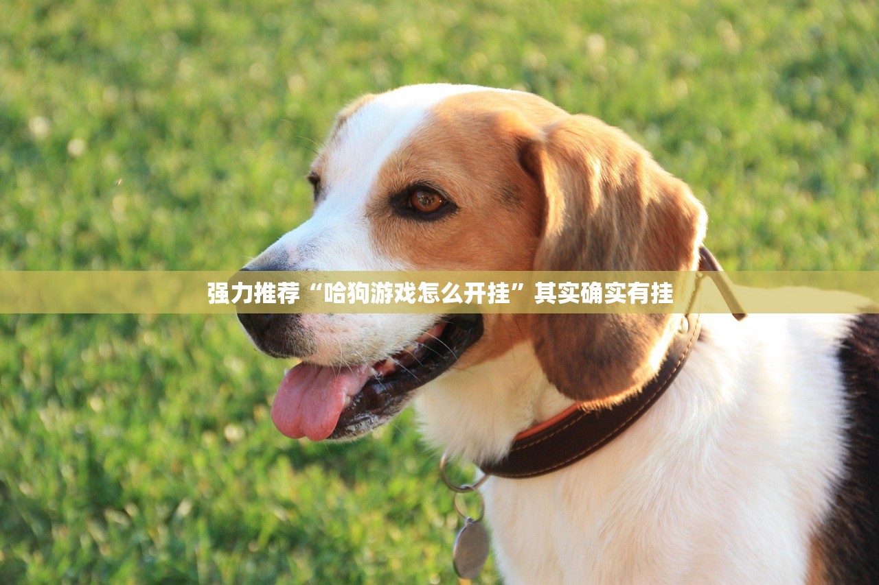 玩家辅助神器：好运大菠萝怎么开挂”(透视挂)辅助下载教程