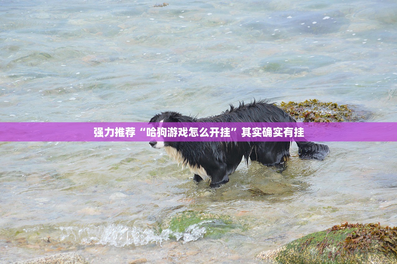 强力推荐“哈狗游戏怎么开挂”其实确实有挂