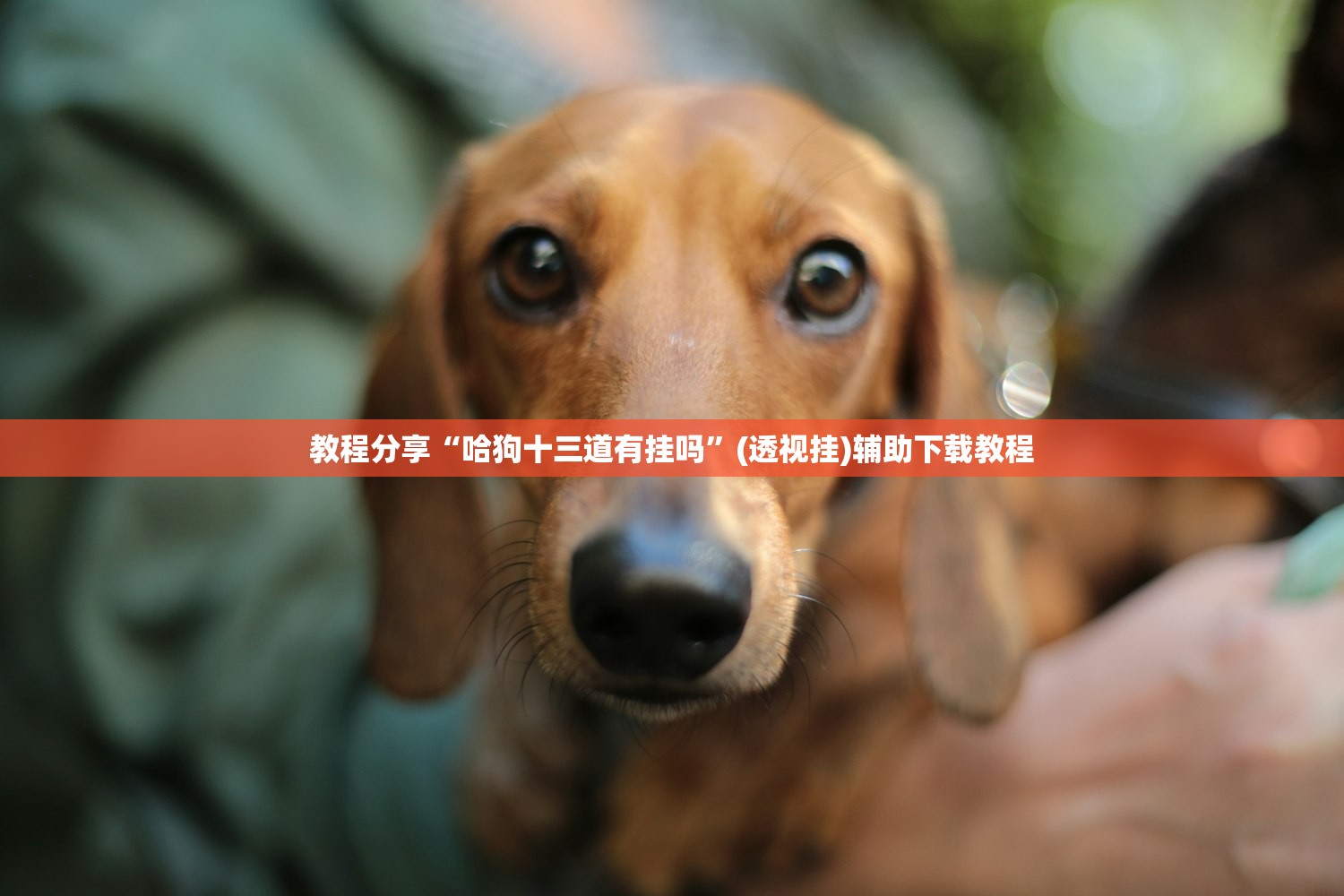 实测神器辅助“胡乐白银麻将可以开挂吗”开挂(透视)辅助神器
