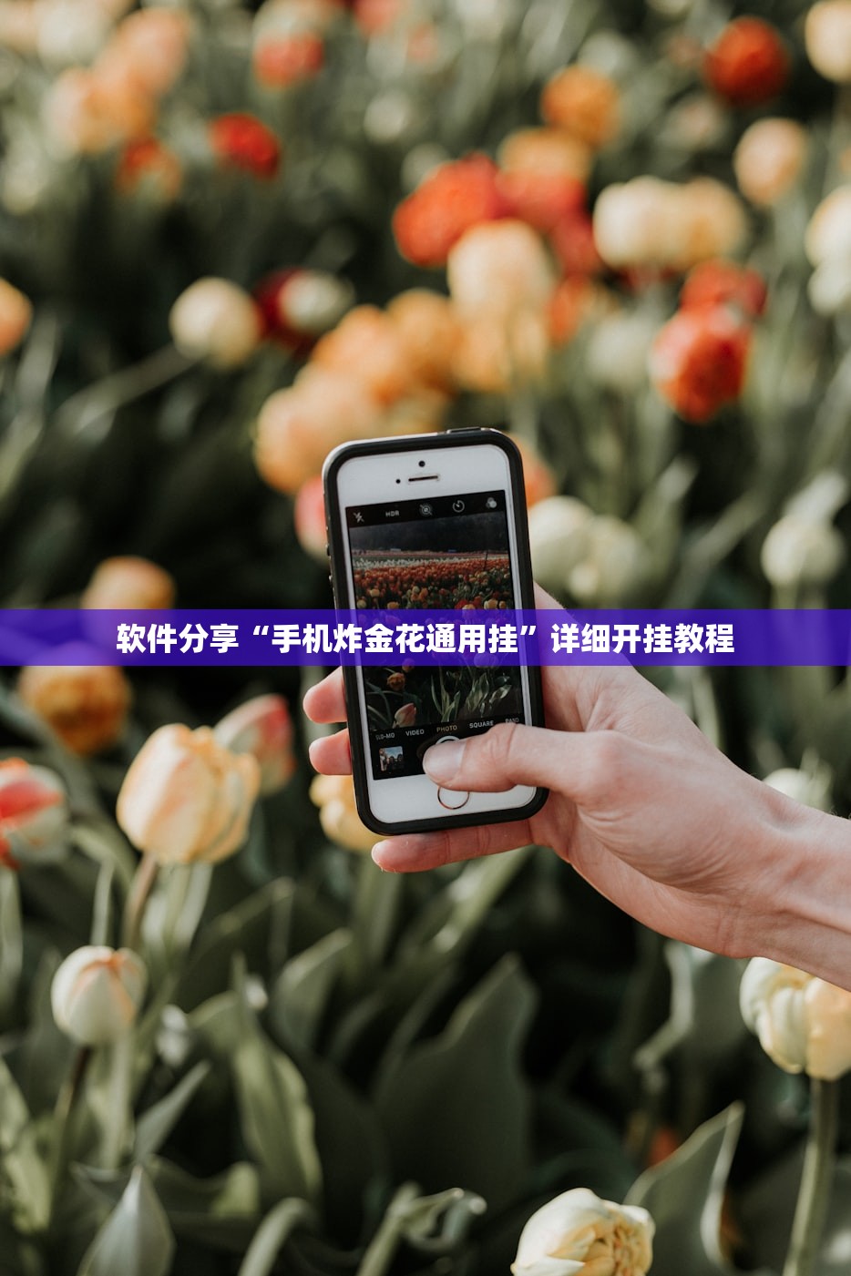 软件分享“手机炸金花通用挂”详细开挂教程