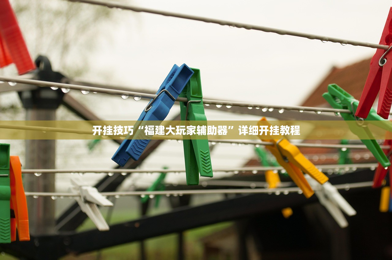 开挂技巧“福建大玩家辅助器”详细开挂教程