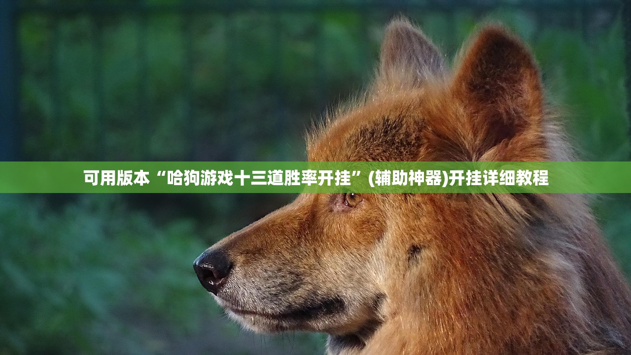 教程辅助!微乐科技辅助器(免费)”详细外挂透视辅助软件教程