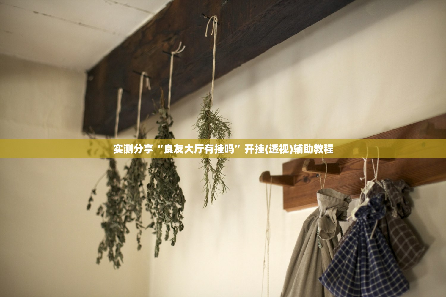 开挂辅助工具“新玄龙大厅可以开挂吗”(透视)其实确实有挂