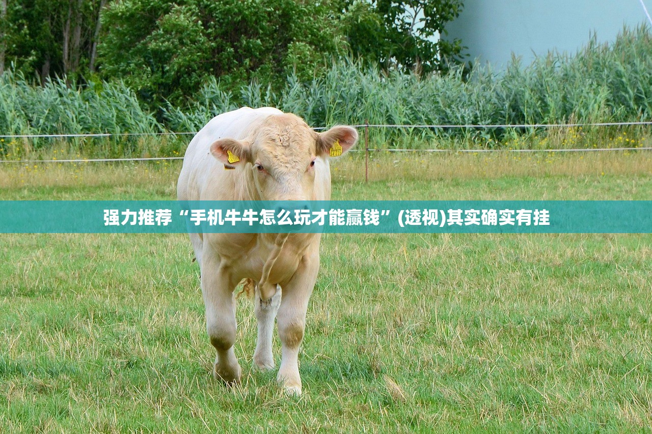 强力推荐“手机牛牛怎么玩才能赢钱”(透视)其实确实有挂