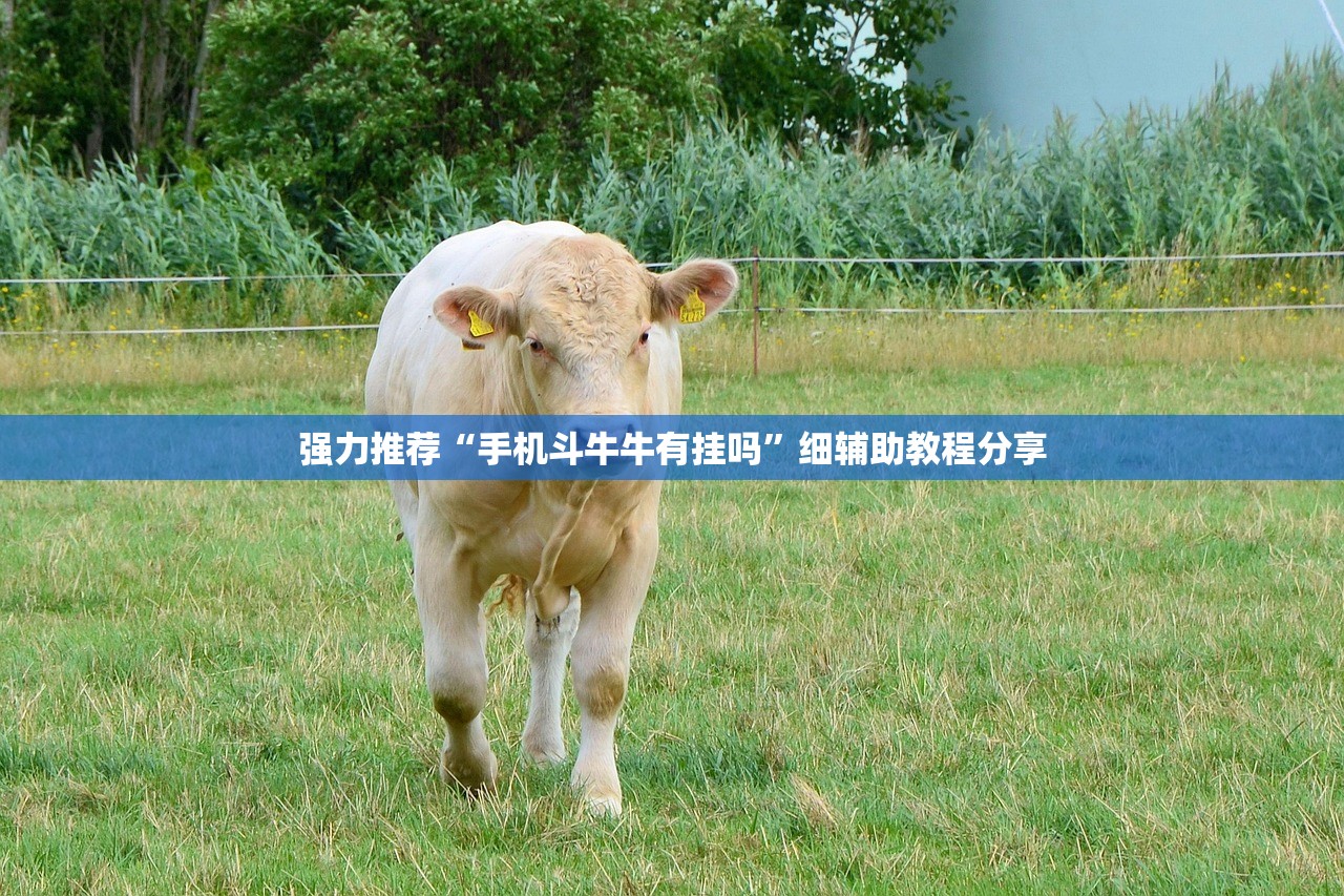 强力推荐“手机斗牛牛有挂吗”细辅助教程分享