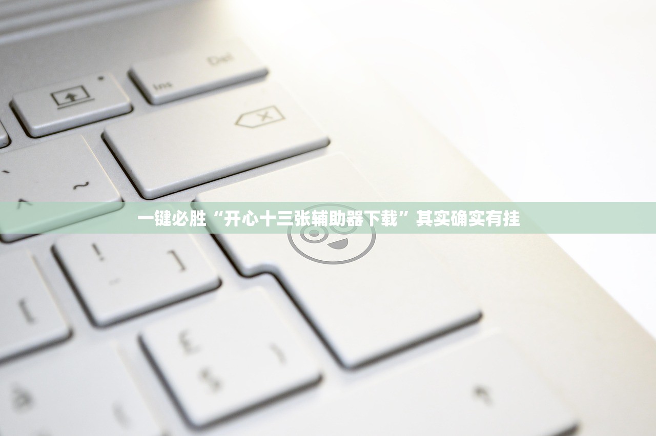 一键必胜“开心十三张辅助器下载”其实确实有挂