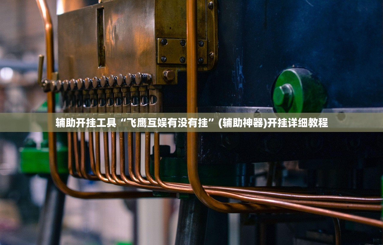 辅助开挂工具“飞鹰互娱有没有挂	”(辅助神器)开挂详细教程