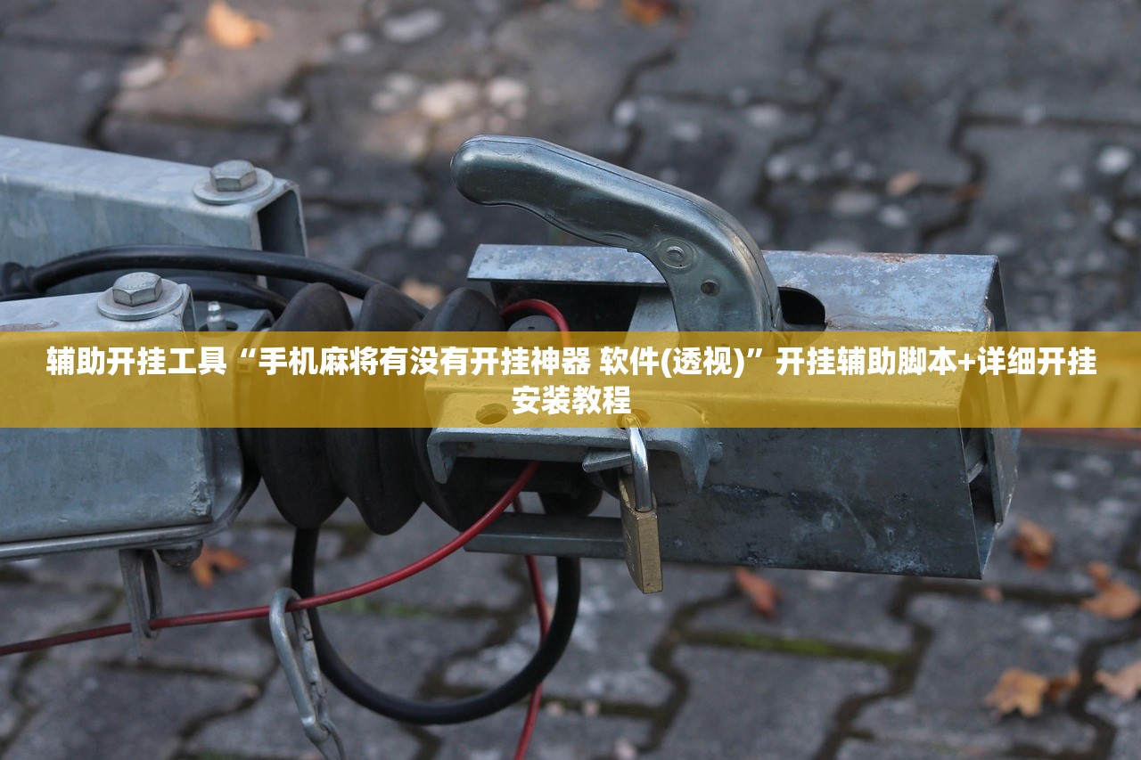 辅助开挂工具“手机麻将有没有开挂神器 软件(透视)”开挂辅助脚本+详细开挂安装教程