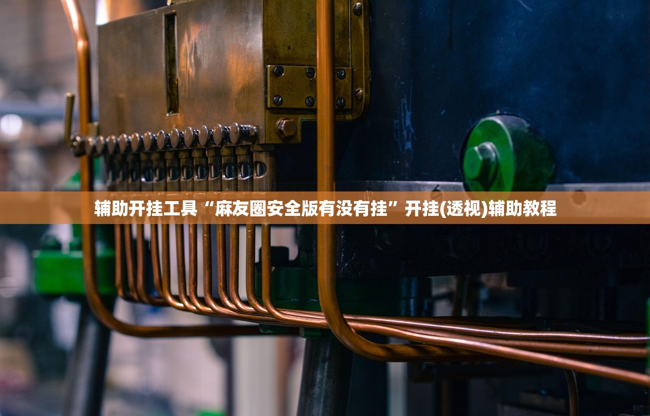 教程辅助!微乐河南斗地主万能挂下载”2026开挂教程步骤