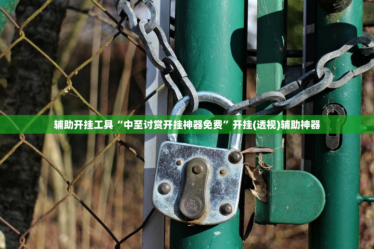 辅助开挂工具“中至讨赏开挂神器免费”开挂(透视)辅助神器