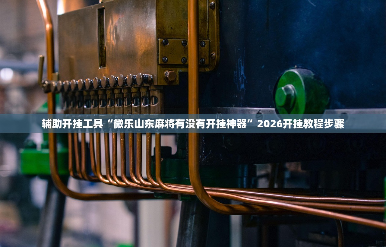 辅助开挂工具“微乐山东麻将有没有开挂神器”2026开挂教程步骤