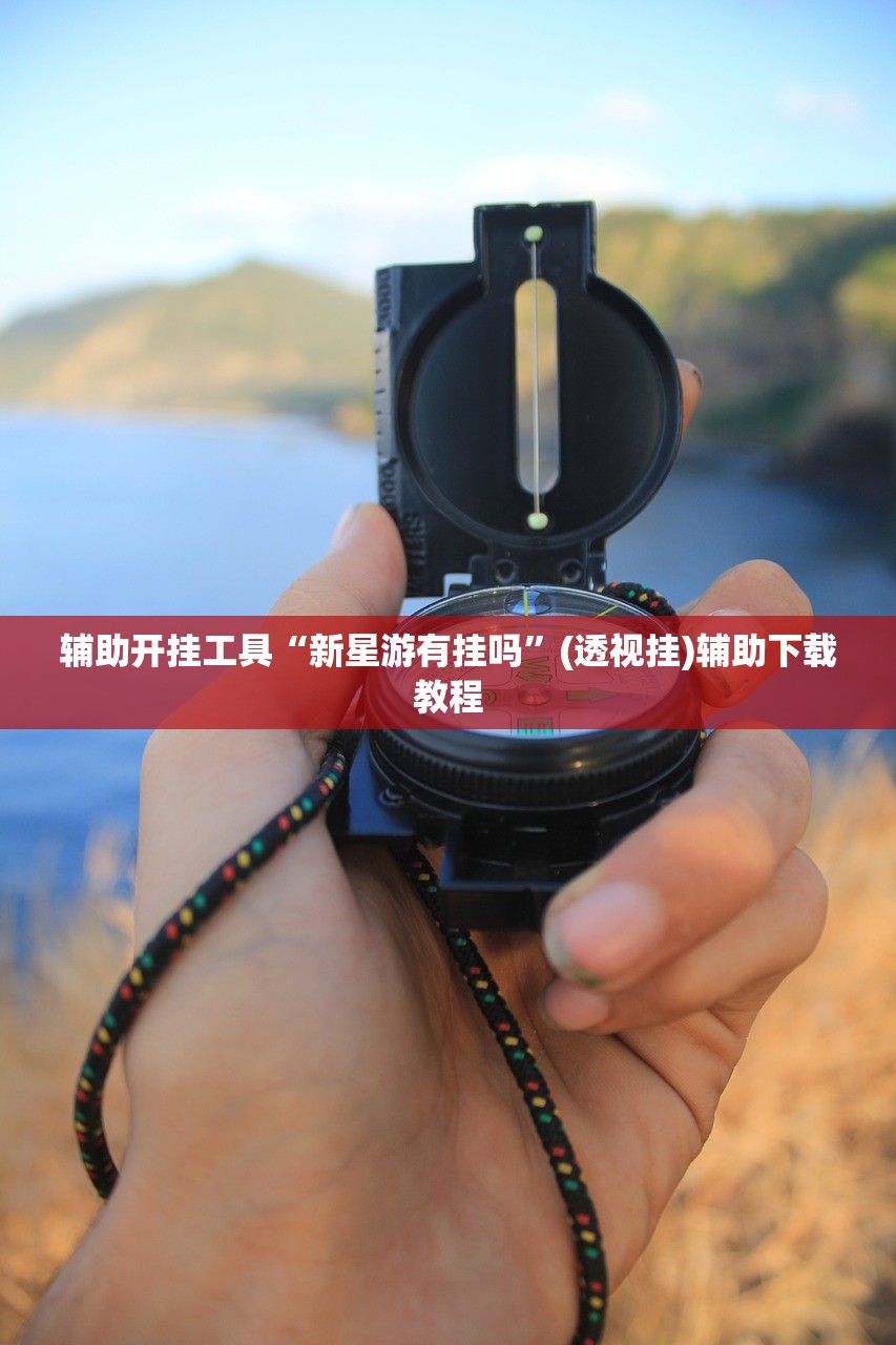 辅助开挂工具“新星游有挂吗	”(透视挂)辅助下载教程