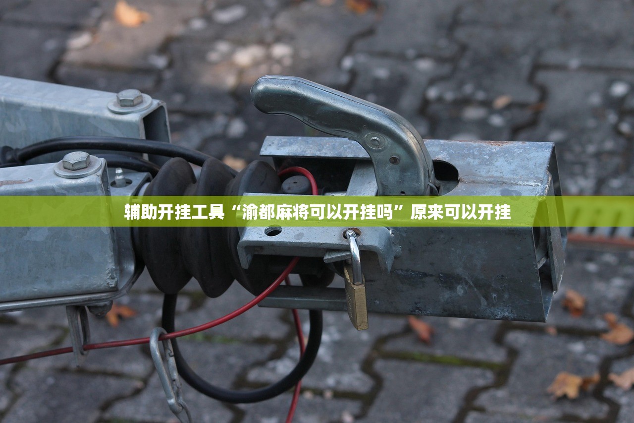 玩家辅助神器：微乐微乐斗地主外卦神器”其实确实有挂