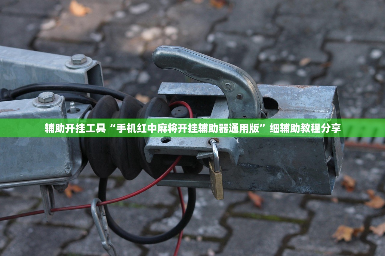 辅助开挂工具“手机红中麻将开挂辅助器通用版”细辅助教程分享