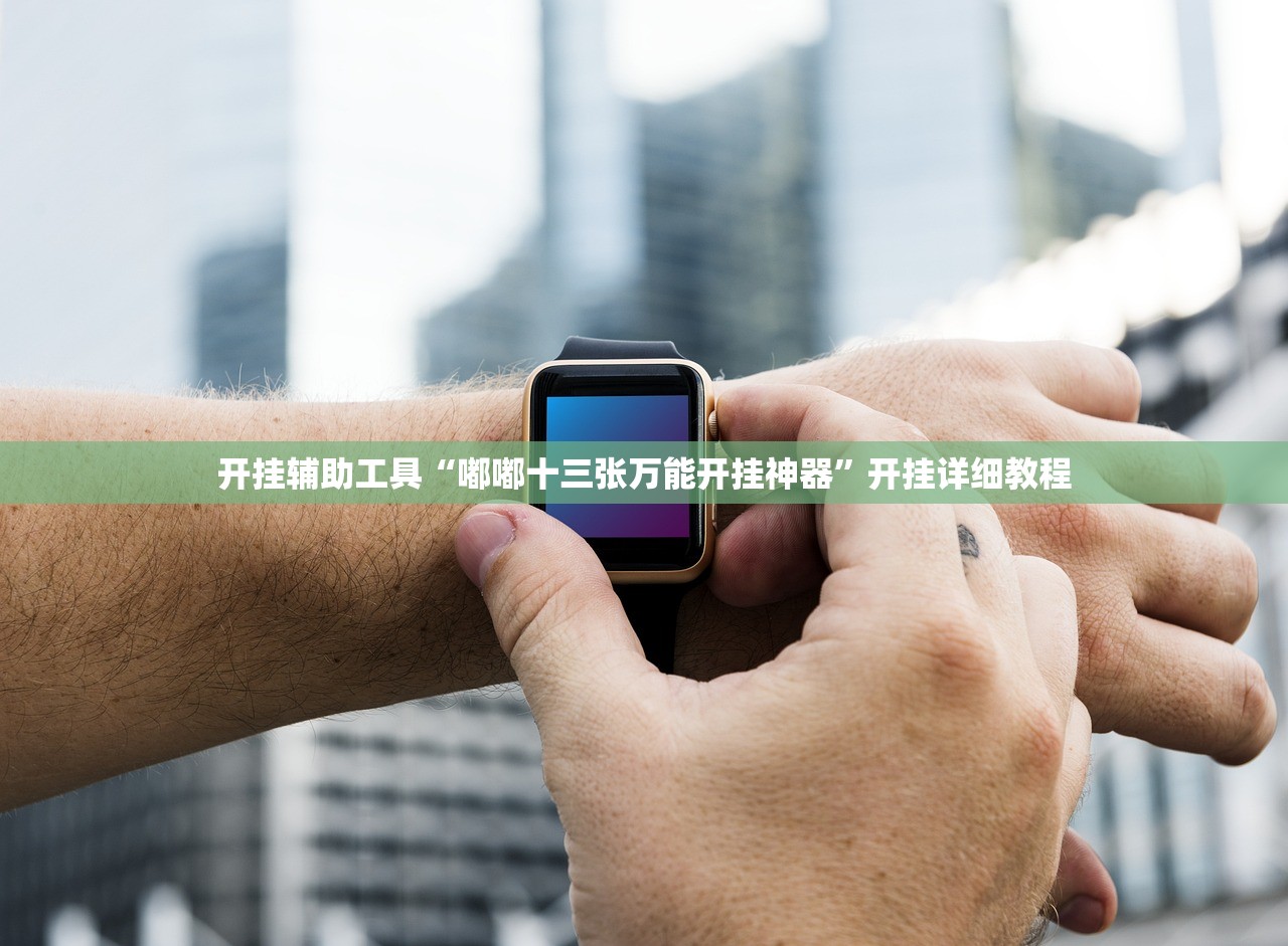 开挂辅助工具“嘟嘟十三张万能开挂神器”开挂详细教程