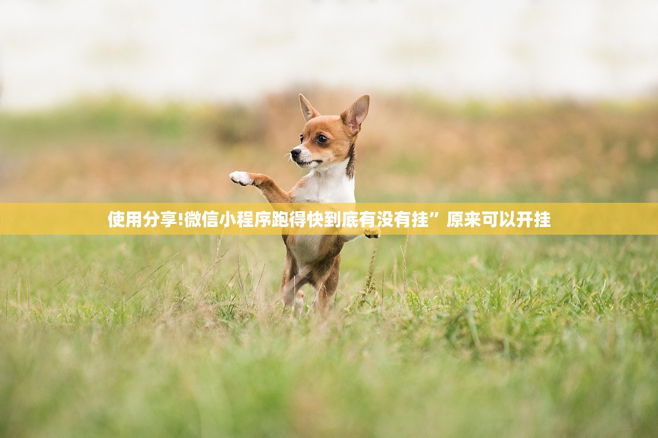 可用版本“微信麻将外卦神器”开挂(透视)最新辅助详细