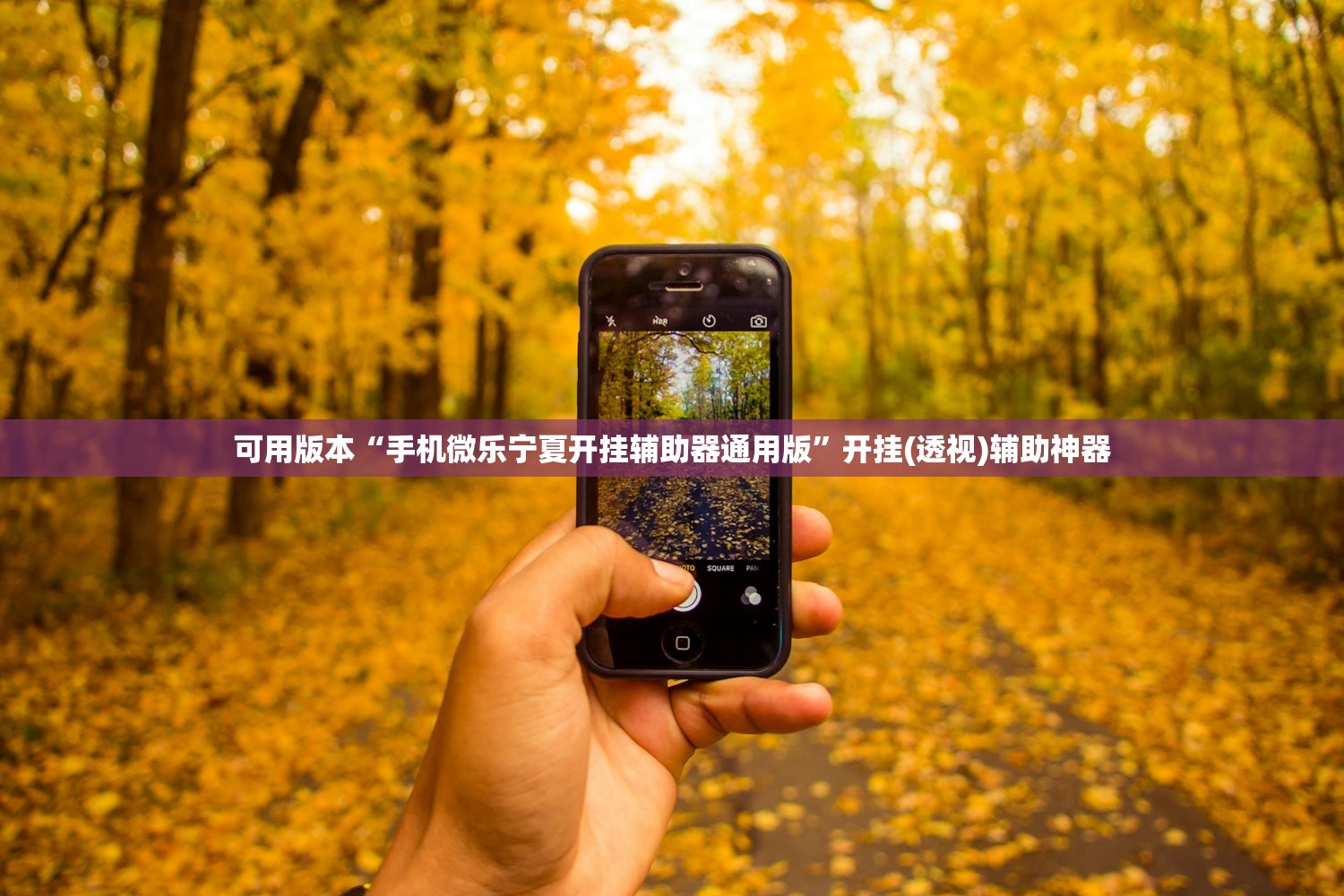 可用版本“手机微乐宁夏开挂辅助器通用版”开挂(透视)辅助神器