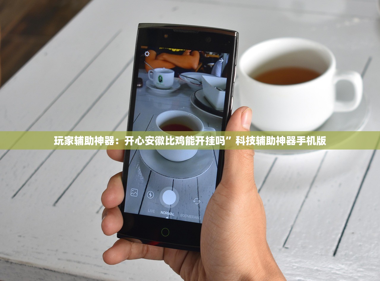 玩家辅助神器：开心安徽比鸡能开挂吗	”科技辅助神器手机版