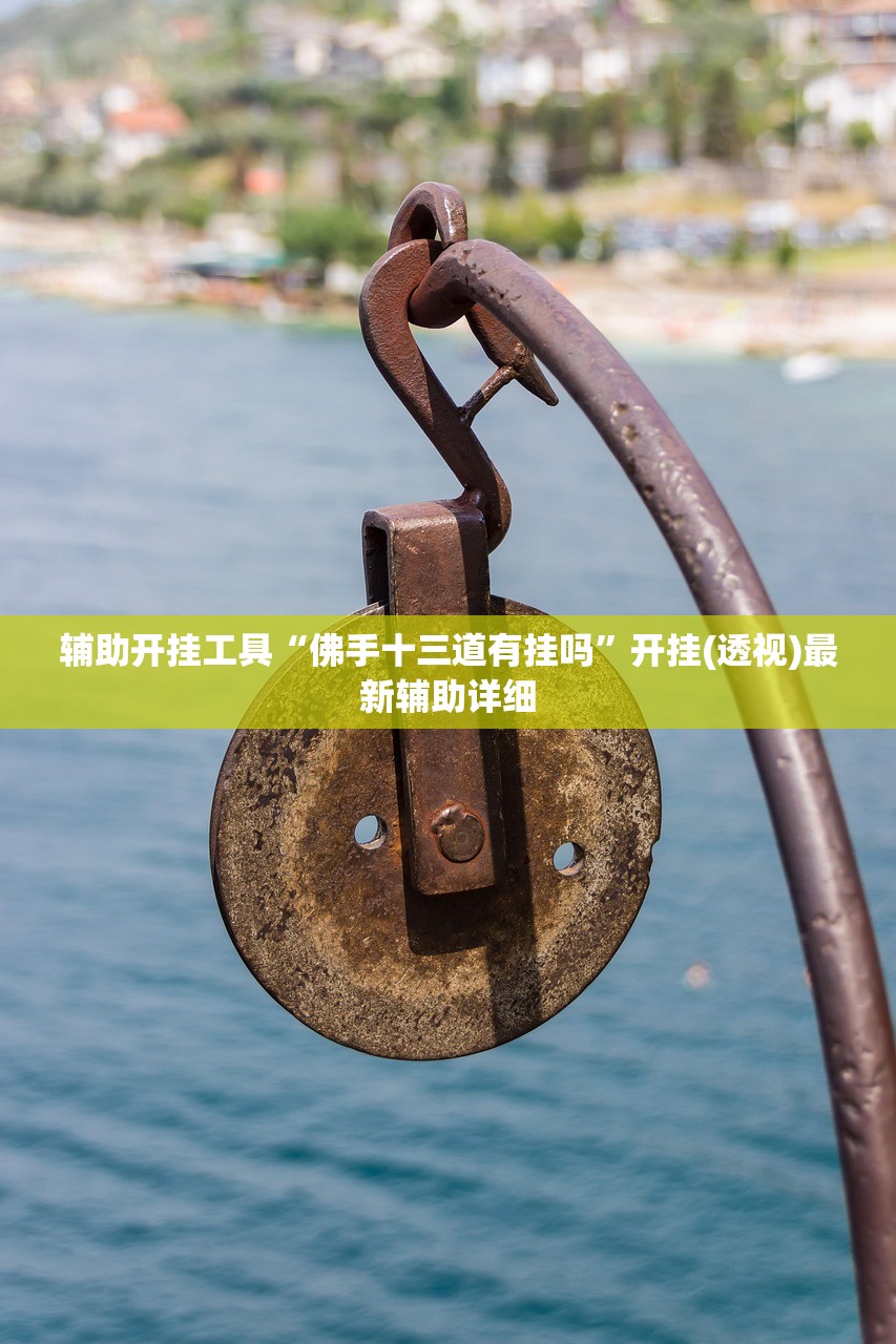 辅助开挂工具“佛手十三道有挂吗”开挂(透视)最新辅助详细
