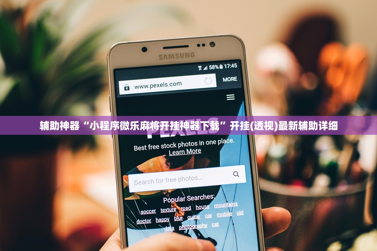辅助神器“小程序微乐麻将开挂神器下载”开挂(透视)最新辅助详细