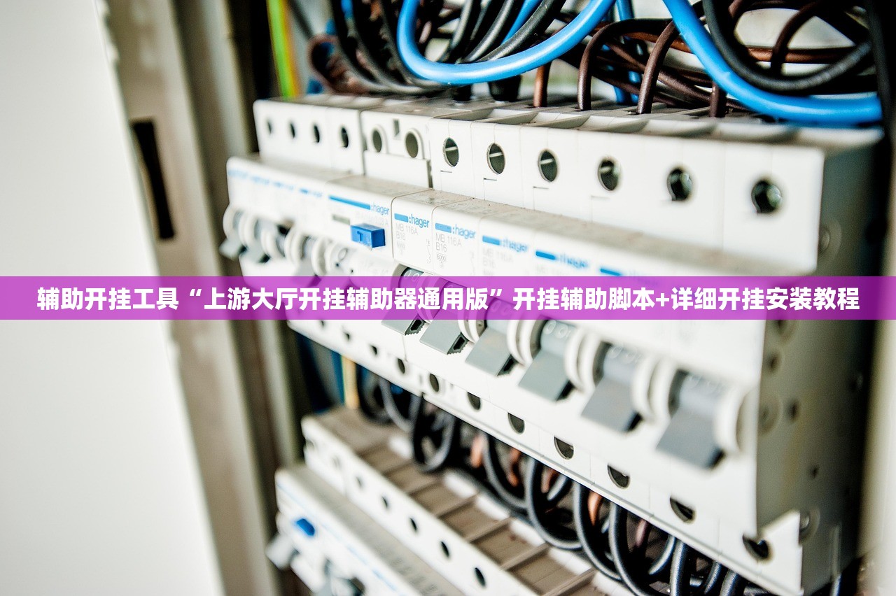 软件分享“游米在线开挂辅助器通用版(透视)”开挂辅助脚本+详细开挂安装教程