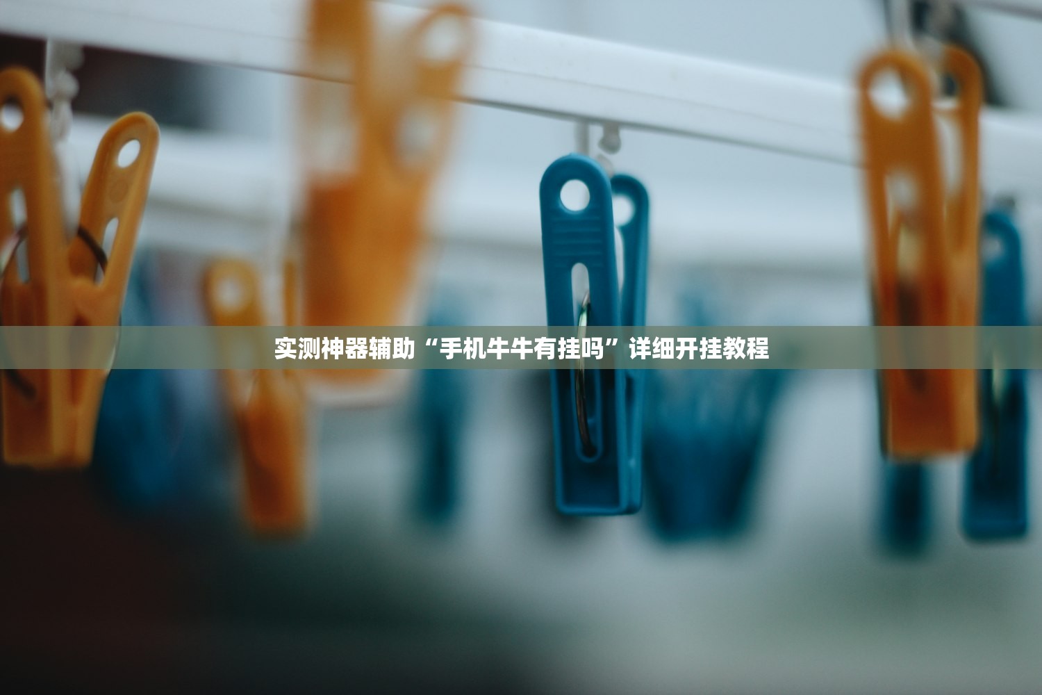 实测神器辅助“手机牛牛有挂吗”详细开挂教程