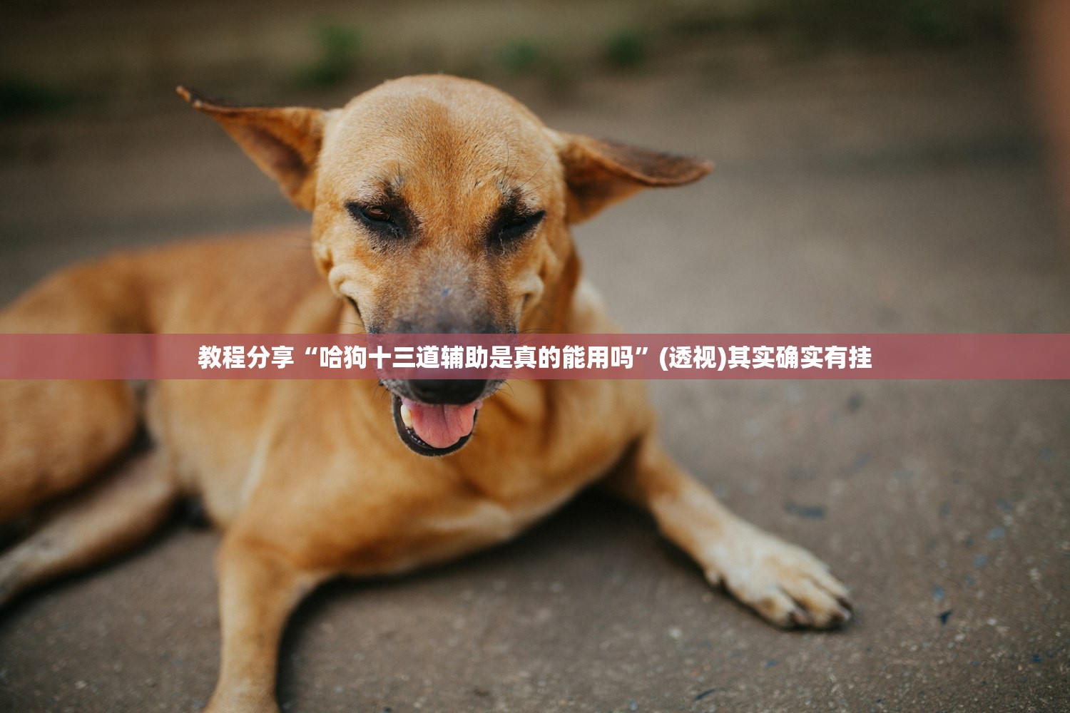 2026首发科技“手机微乐广东麻将怎么开挂”(免费)开挂辅助教学(最新辅助开挂教程)