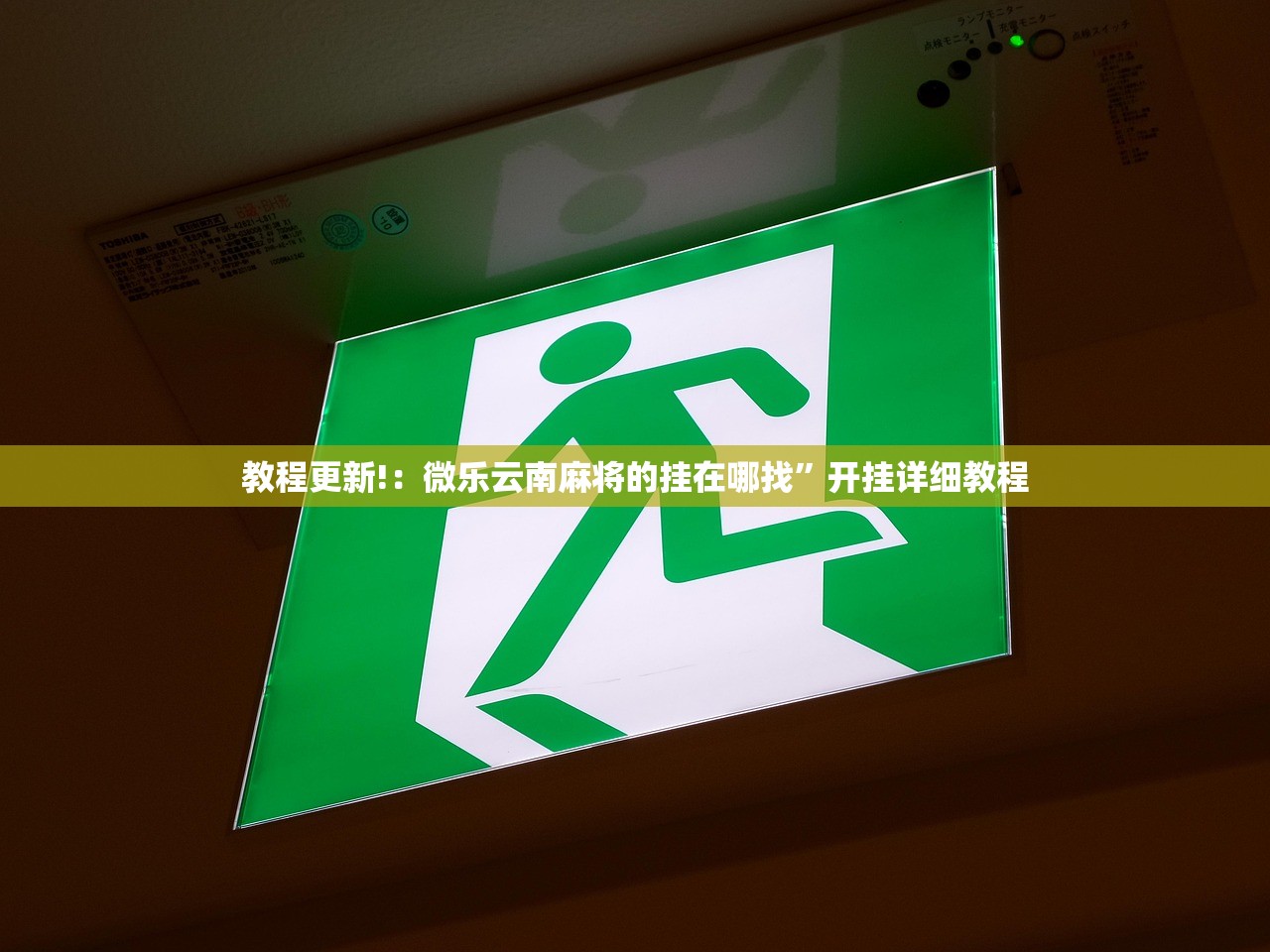 斯柯达新款车都是什么（斯柯达suv新车型）
