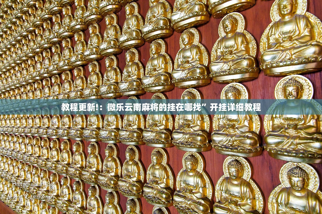 教程更新!：微乐云南麻将的挂在哪找”开挂详细教程