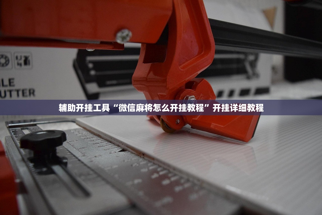 辅助开挂工具“微信麻将怎么开挂教程”开挂详细教程