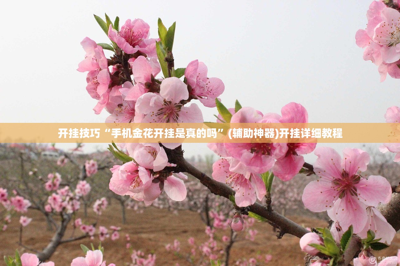 开挂技巧“手机金花开挂是真的吗	”(辅助神器)开挂详细教程