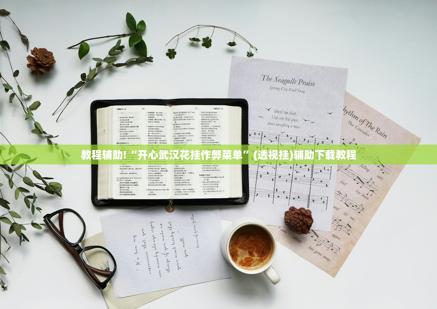 教程辅助!“开心武汉花挂作弊菜单”(透视挂)辅助下载教程