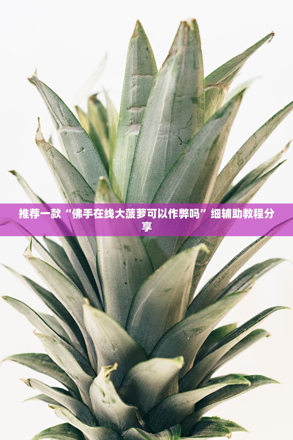 推荐一款“佛手在线大菠萝可以作弊吗”细辅助教程分享