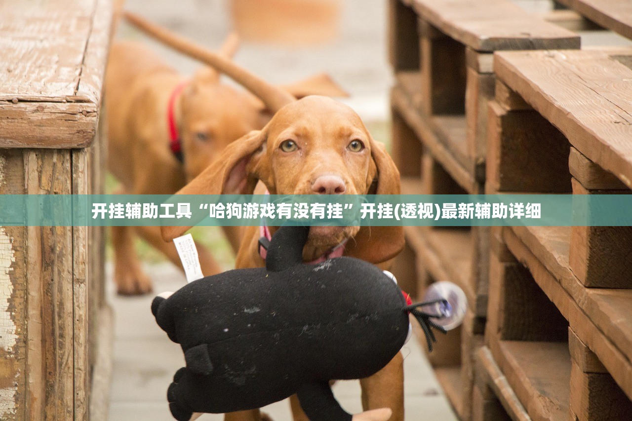 31省新增确诊32例/31省区新增确诊327例