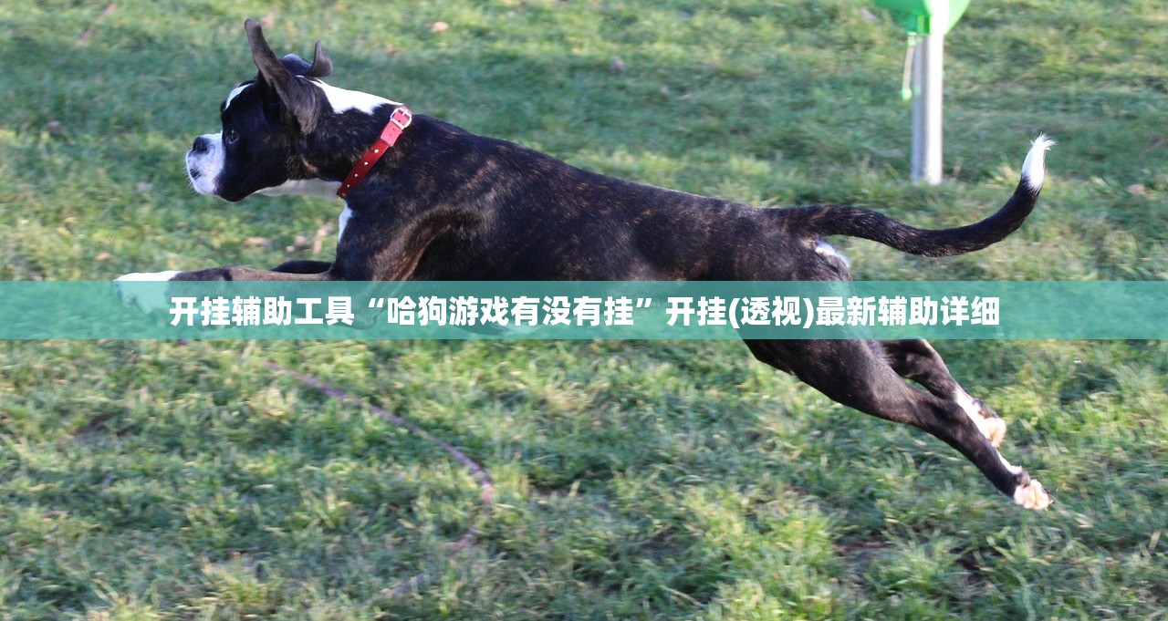开挂辅助工具“哈狗游戏有没有挂”开挂(透视)最新辅助详细