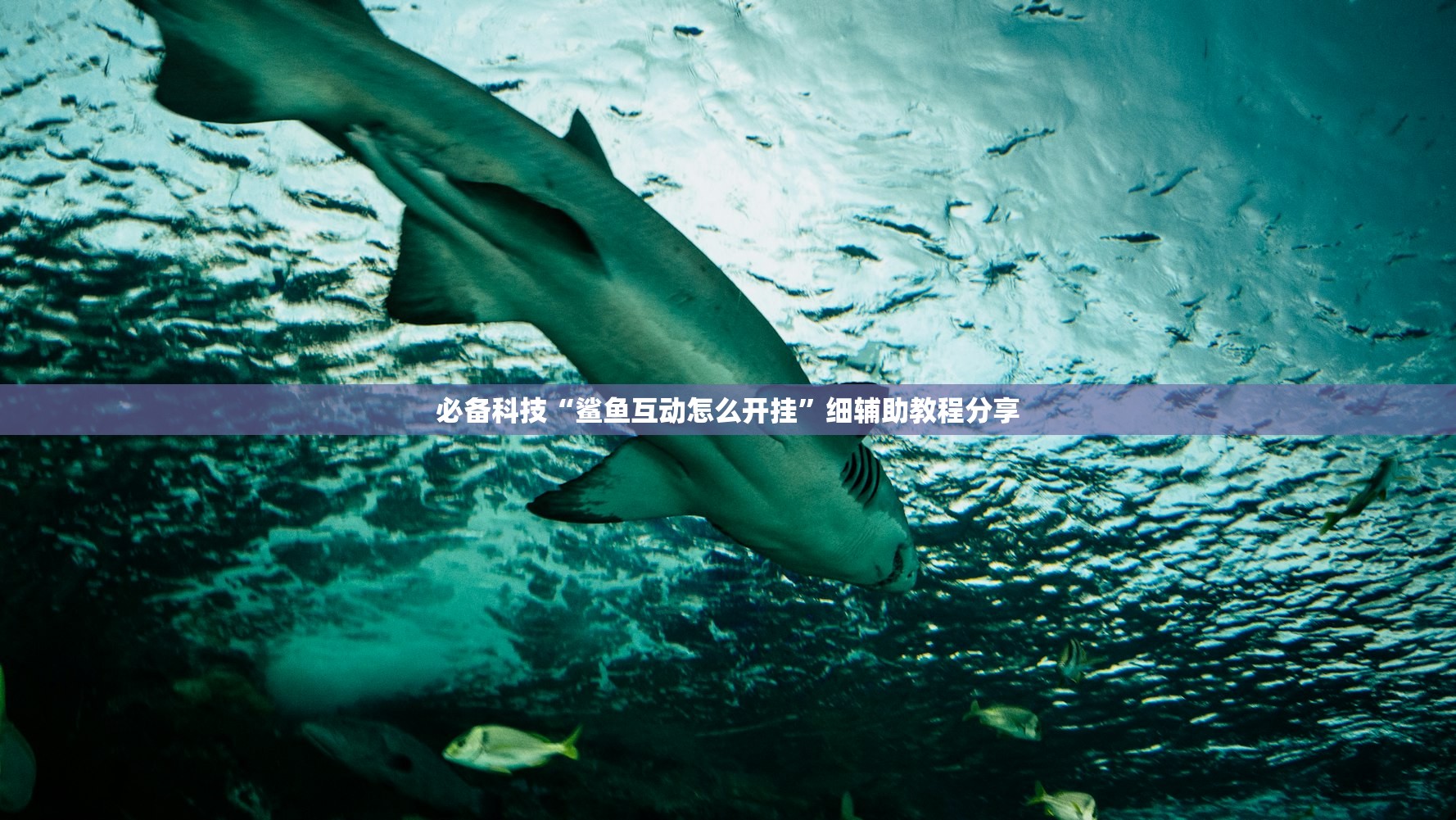 实测神器辅助“七千在线十三道提高好牌几率”开挂辅助脚本+详细开挂安装教程