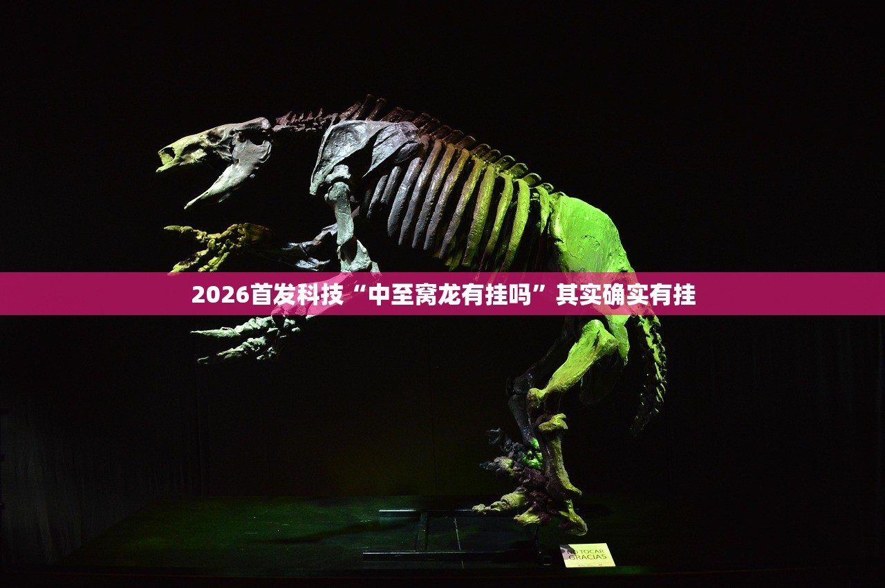 可用版本“微信小程序微乐湖北麻将开挂辅助器通用版”细辅助教程分享