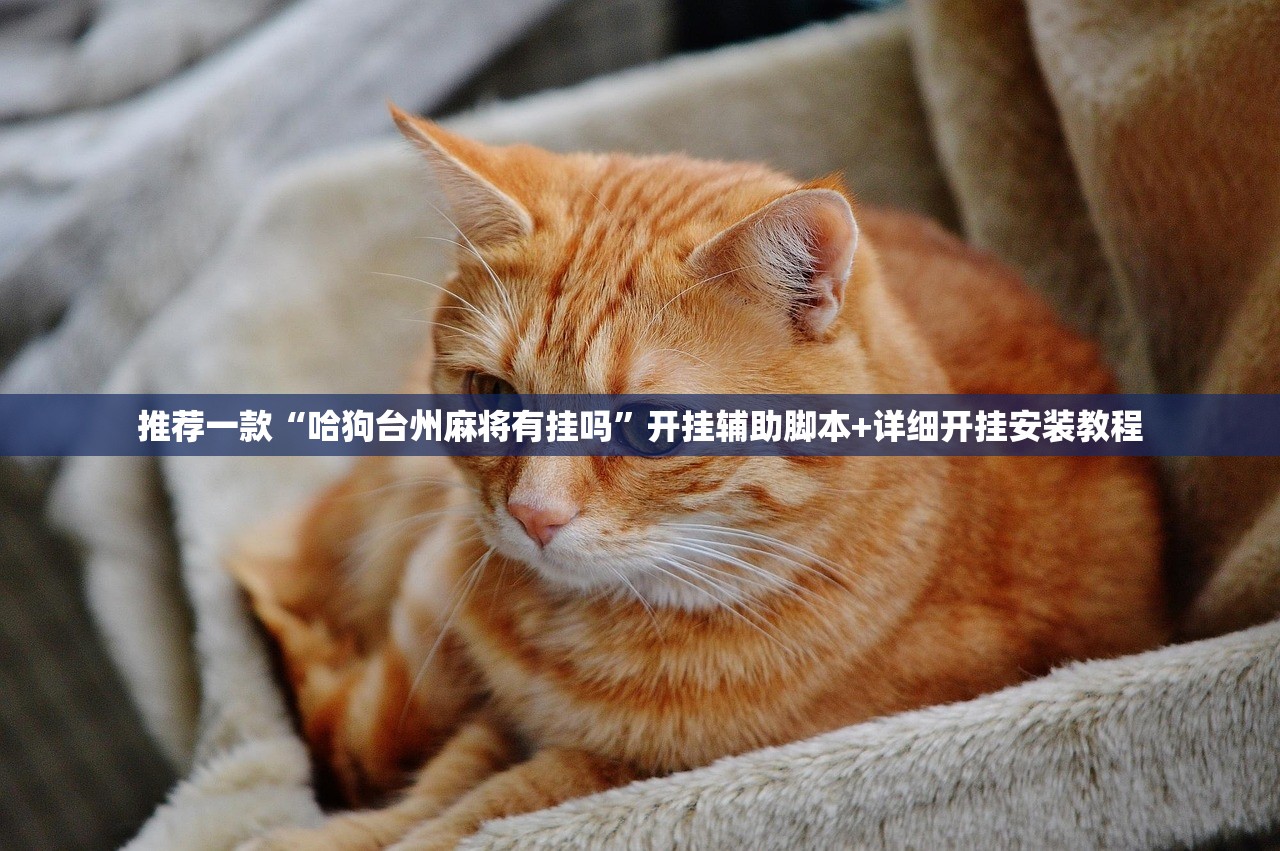 可用版本“新海贝之城有挂吗(透视)”开挂辅助脚本+详细开挂安装教程