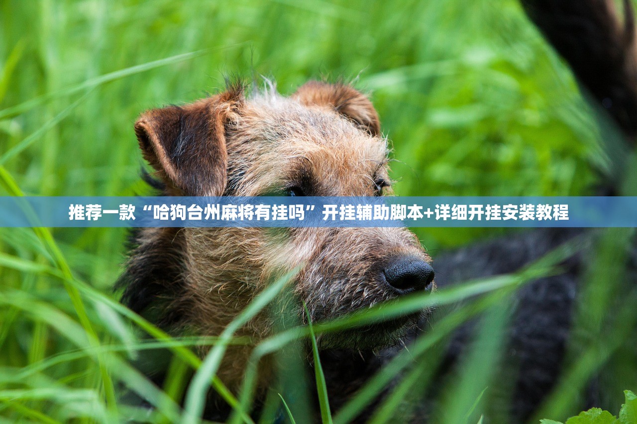 推荐一款“哈狗台州麻将有挂吗”开挂辅助脚本+详细开挂安装教程