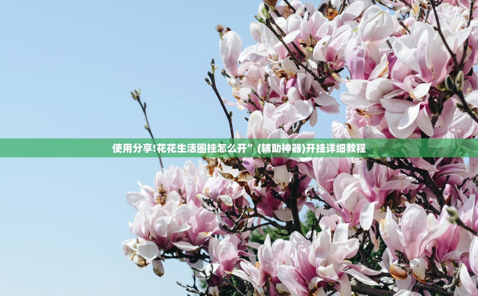 使用分享!开心安徽比鸡有没有挂”(免费)开挂辅助教学(最新辅助开挂教程)