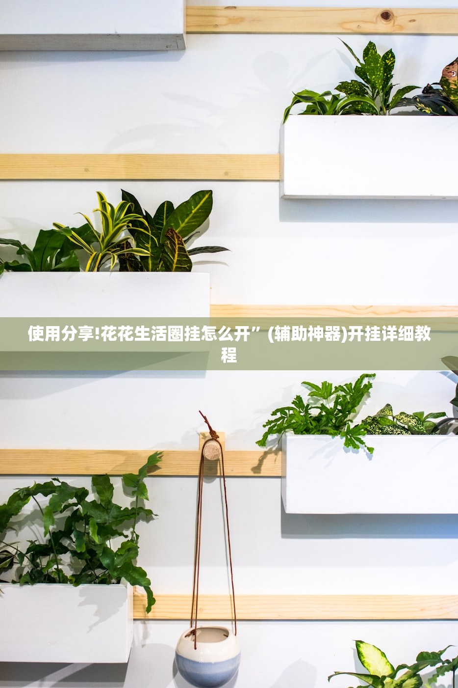 使用分享!花花生活圈挂怎么开”(辅助神器)开挂详细教程