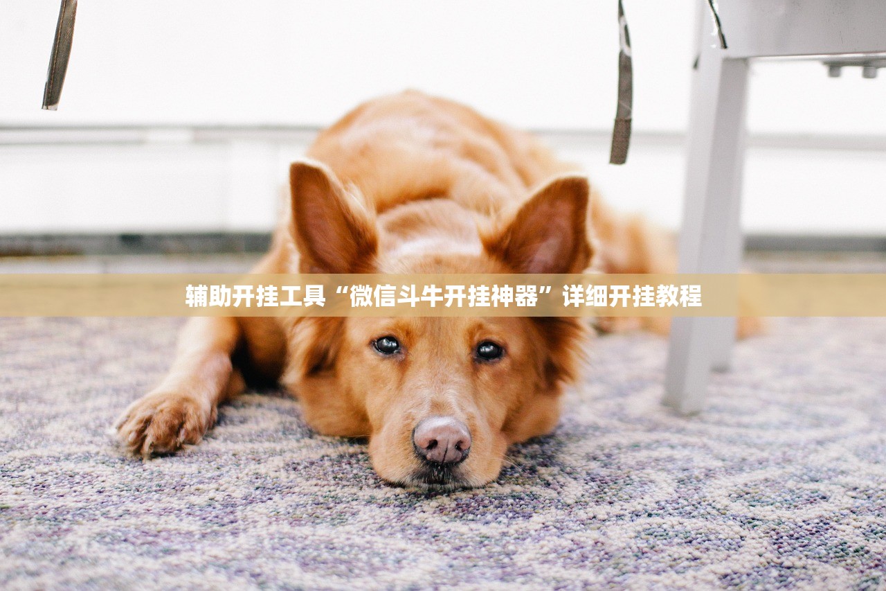 玩家辅助神器：好运休闲辅助”开挂(透视)最新辅助详细